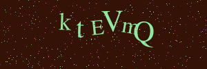 Validation image