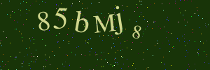 Validation image